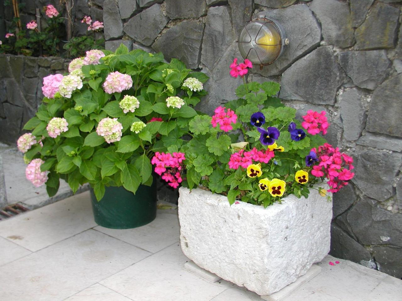 Apartmani Antunovic Podgora Exterior photo